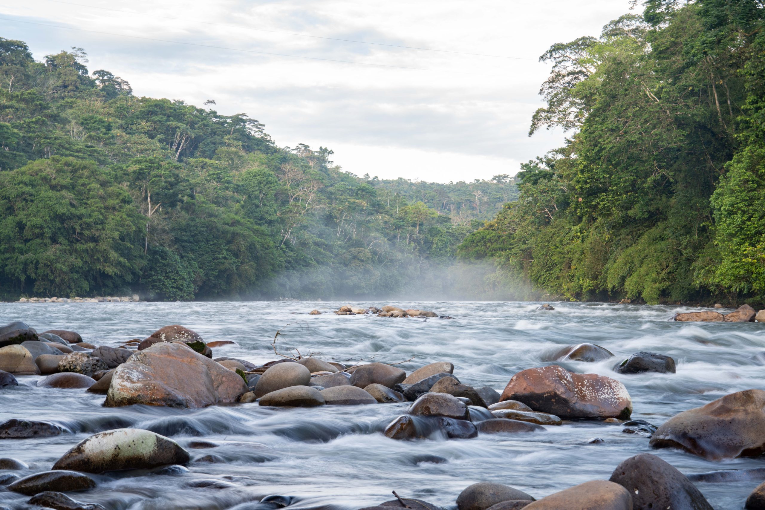 The Kuyana Amazon Lodge team in Ecuador — a family-run eco-lodge rooted in regeneration, culture, and care