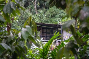 The Kuyana Amazon Lodge team in Ecuador — a family-run eco-lodge rooted in regeneration, culture, and care