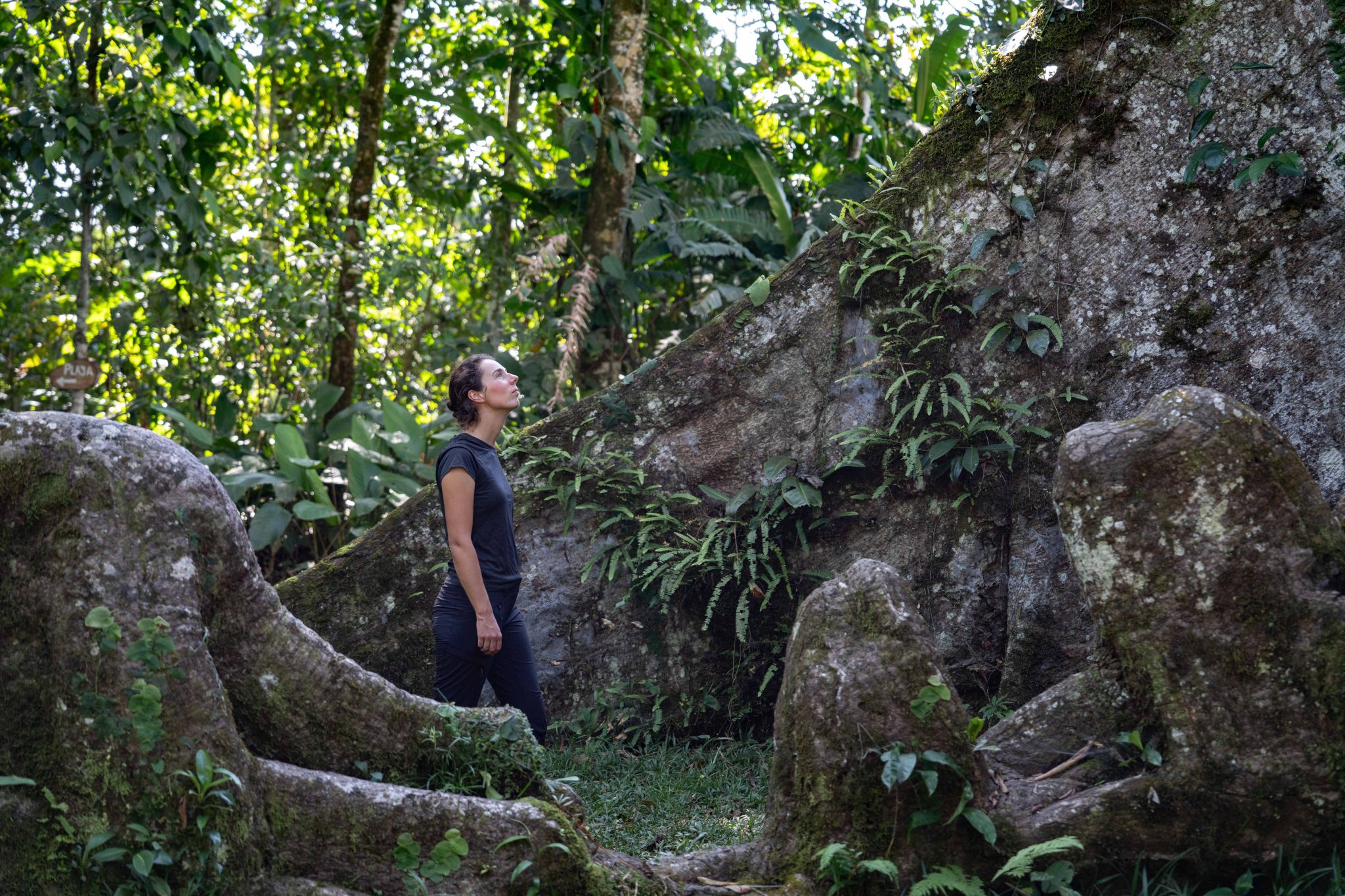 Amazon rainforest travel guide Ecuador